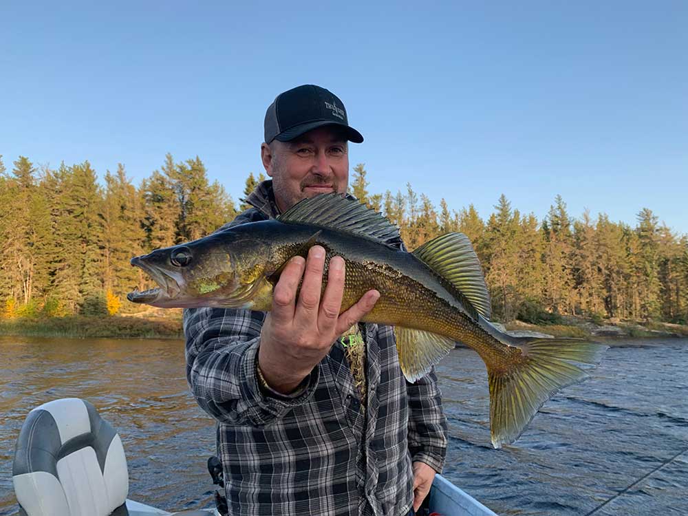 Catching Walleye at Harrop Lake